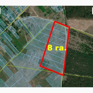 Земельний масив осг 8 га в Рудні-Тальській