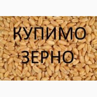 Куплю зерно, зерноотході