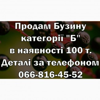 Реалізую Бузину категорії Б. Сировина власної заготывлі