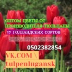 Цветы оптом, оптом тюльпаны в Луганске