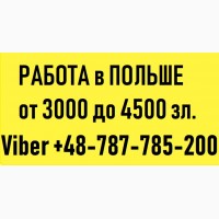 Робота в ПОЛЬЩІ. Праця в Польщі Березень 2019. ЛЕГАЛЬНАЯ Работа в Польше, работа вакансии