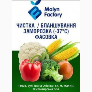 Фасовка и упаковка продуктов в пакеты сетки лотки