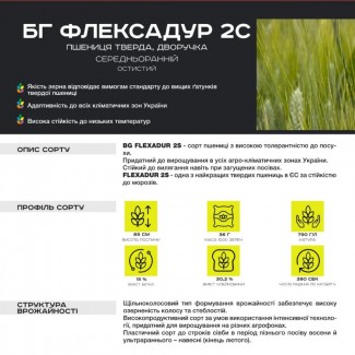 BG Flexadur 2S (пшениця тверда, дворучка) Durum Seeds