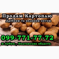 Продам Картоплю їстівну оптом