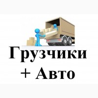 Предоставляем услуги и опытных грузчиков с ремнями и без вредных привычек