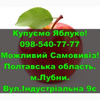 Підприємство на постійній основі закуповує яблуко дрібним та великим оптом