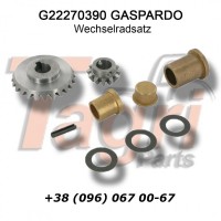 G22270390 Комплект шестерень Gaspardo