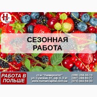 Вакансии для рабочих на сезонные работы в Польше