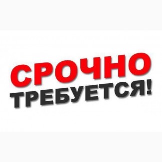 Срочно требуется ГРЕЙДЕРИСТ