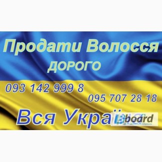 Продати Волосся Львів Куплю волосся дорого