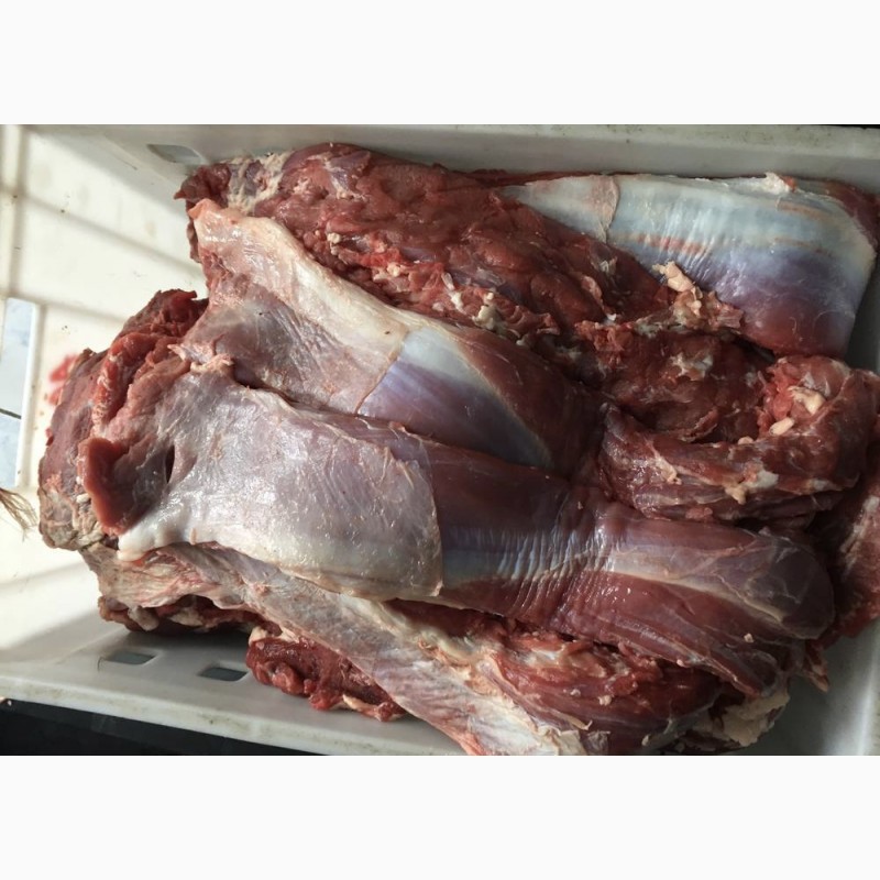 Фото 3. Мясо телятины, говядины и конины