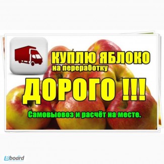 Куплю Яблоко на переработку, дoрoгo