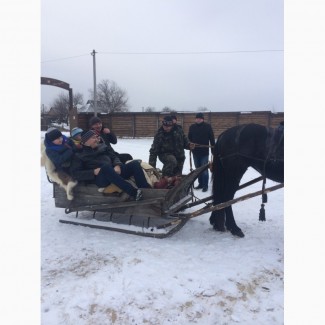 Новогодний отдых на базе отдыха в Полтавской области