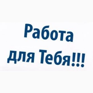 Дополнительная или основная работа