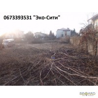 Вырубка кустов Удалить дерево Киев, Спиливание деревьев