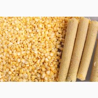 Кукурудзолущилка для очищення качанів кукурудзи від зерен STvega Corn Pel 300