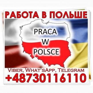 Для чоловіків і жінок, роботa нa виробництвaх Польщі. Офіційно