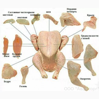 Предприятие покупает тушки бройлера, охлажденную и замороженную разделку