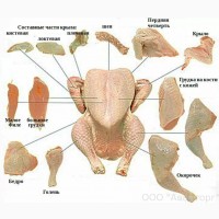 Предприятие покупает тушки бройлера, охлажденную и замороженную разделку