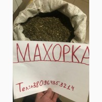 Продам махорку. Зеленого кольору, приємний аромат