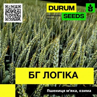 Насіння пшениці BG Logika (Durum Seeds)