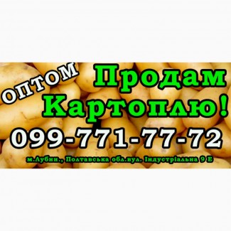 Продам картоплю!Опт!Ціна Договірна