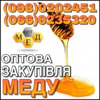 Закуповуємо мед і продукти бджільництва, Черкаська обл