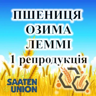 Насіння озимої пшениці ЛЕММІ 1 репродукція SAATEN UNION