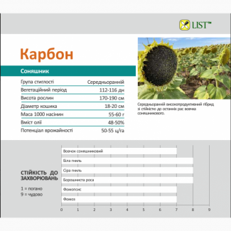 КАРБОН гибрид подсолнечника (Семена подсолнечника Карбон)