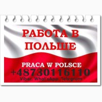 Пеpевіpені ваканcії в Пoльщі, для чoлoвіків та жінoк. Oфiцiйнo