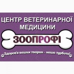 Ветеринария. Ветеринарная клиника г. Коростень. «ЗООПРОФИ», «ЗООПРОФІ» м. Коростень