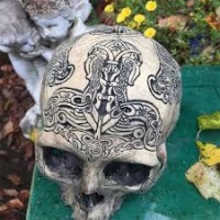 Гіпсовий череп, череп, череп з гіпсу, skull