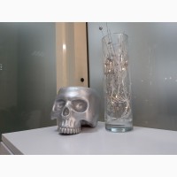 Гіпсовий череп, череп, череп з гіпсу, skull