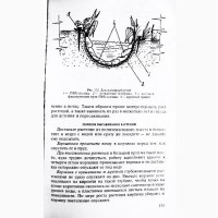 Бассейны и пруды. Автор-составитель А. Кортес