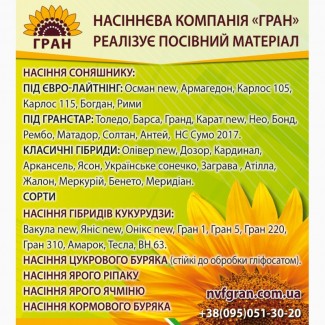 Насіння соняшнику під євро-лайтнінг/ високоурожайні гібриди