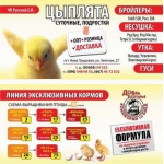 Комбикорма для Бройлеров ЧП Крамар Продажа