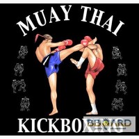 Тайский бокс в Киеве - Muay Thai