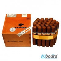 Сигары Cohiba Robustos