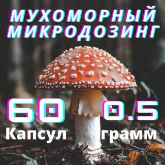 Мухомор красный Amanita Muscaria, в капсулах по 0.5г. 60 шт